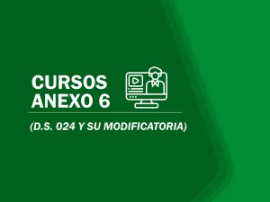 Capacitacion-Anexo-6-D-s-023-seguridad-y-salud-ocupacional-3-2048
